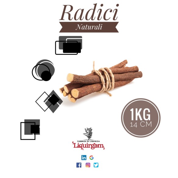 Radice di liquirizia di Calabria  biologica (14 cm)