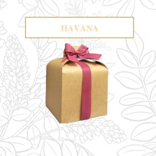 Panettone artigianale - Havana PRODOTTO ESAURITO 2